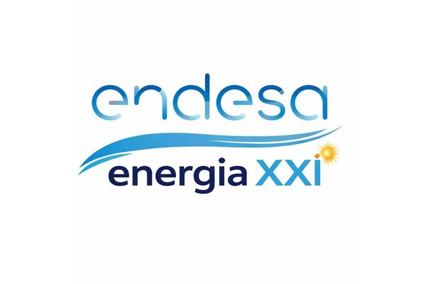 Charla Informativa: Robo de datos sufrido por las empresas Endesa Energía y Energía XXI