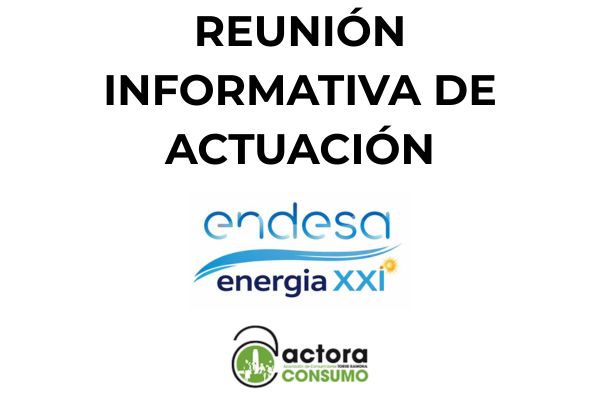 Reunión Informativa y Consejos para proteger tus Datos: Robo de datos sufrido por las empresas Endesa Energía y Energía XXI